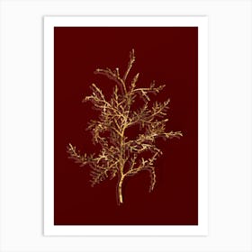 Vintage Sictus Tree Botanical in Gold on Red n.0565 Art Print