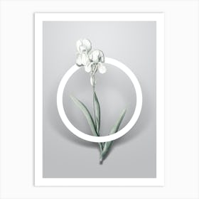 Vintage Tall Bearded Iris Minimalist Flower Geometric Circle on Soft Gray n.0212 Art Print