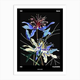 No Rain No Flowers Poster Love In A Mist Nigella 5 Art Print