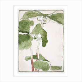 Trillium Erectum (1915), Hannah Borger Overbeck Art Print