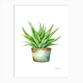 Aloe vera plant. Green plant. Beautiful plant. Thorns plant. Aloe vera flowers.16 Art Print