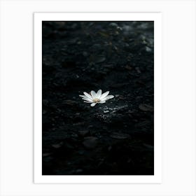 Lotus Flower 32 Art Print