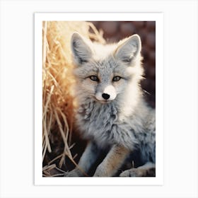 Kit Fox Photorealism 3 Art Print