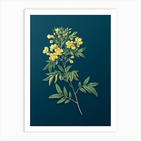 Vintage Argentine Senna Botanical Art on Teal Blue n.0821 Art Print