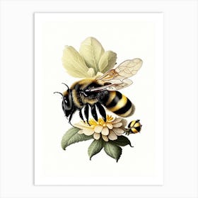 Bumblebee 2 Vintage Art Print