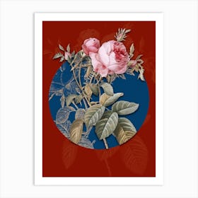 Vintage Botanical Pink Cabbage Rose de Mai on Circle Blue on Red n.0192 Art Print