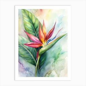 Bird Of Paradise 3 Art Print