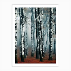 Birch Forest 90 Art Print