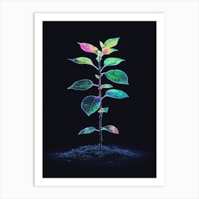 Plant Grows In The Dark 3 Art Print