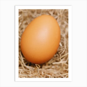 Egg On Hay Art Print
