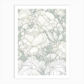 Duchesse De Nemours Peonies 1 Drawing Art Print