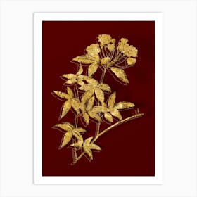 Vintage Lady Bank's Rose Botanical in Gold on Red n.0337 Art Print