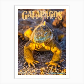 Galapagos Islands Art Print