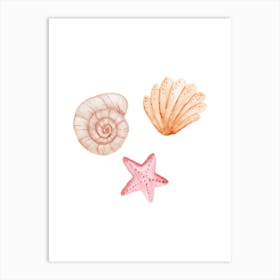 Colored seashells. Seashells. Summer. 1 Art Print