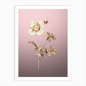 Gold Botanical Welsh Poppy on Rose Quartz n.2561 Art Print