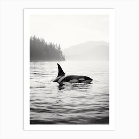Orca Whale Fin Peeping Out Of Ocean Black & White Art Print