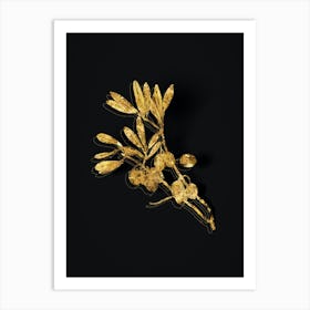 Vintage Olive Tree Branch Botanical in Gold on Black n.0604 Art Print