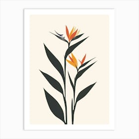Bird Of Paradise Plant Minimalist Illustration 6 Art Print