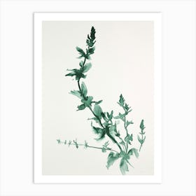 Green Ink Painting Of A Black Stem Spleenwort 3 Art Print