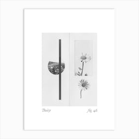 Daisy Botanical Collage 7 Art Print