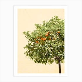 Orange Tree  Art Print