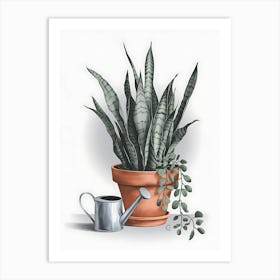 Snake Plant In A Pot Art Print