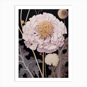 Flower Illustration Scabiosa 1 Art Print