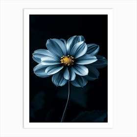 Dark Blue Flower 3 Art Print