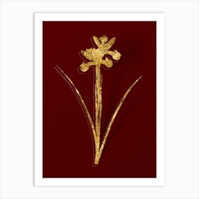 Vintage Spanish Iris Botanical in Gold on Red n.0345 Art Print