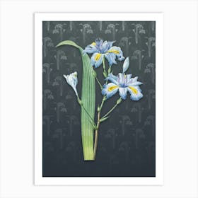 Vintage Butterfly Iris Fimbriata Botanical on Slate Gray Pattern n.2464 Art Print