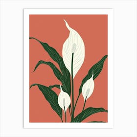 Peace Lily Plant Minimalist Illustration 3 Art Print