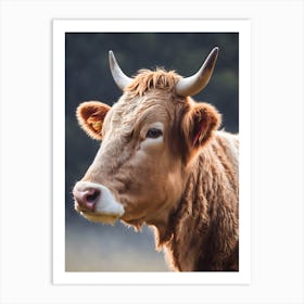 Cow With Horns 2 Art Print