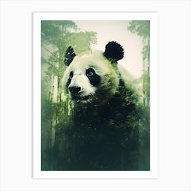 Panda Bear In The Forest Art Print