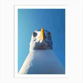 Seagull 1 Art Print