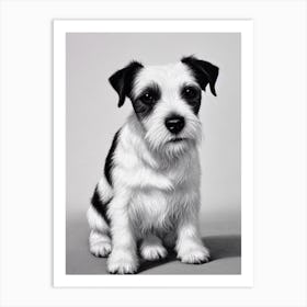 Parson Russell Terrier B&W Pencil Dog Art Print