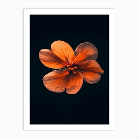 Orange Flower On Black Background 2 Art Print