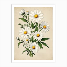 Daisy Bouquet Art Print