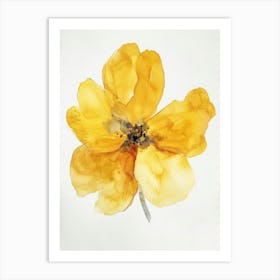 Yellow Poppy Art Print