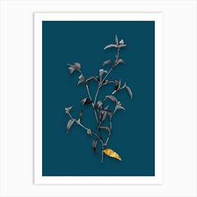 AAMVJ Vintage Commelina Africana Black and White Gold Leaf Floral Art on Teal Blue n.0611 Art Print