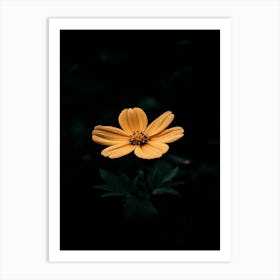 Yellow Flower 2 Art Print