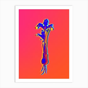 Neon Iris Persica Botanical in Hot Pink and Electric Blue n.0602 Art Print