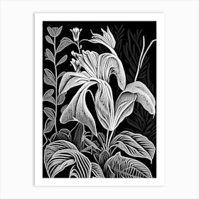 Wild Ginger Wildflower Linocut 1 Art Print