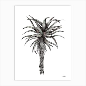 Watercolour Single Aloe Art Print