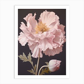 Floral Illustration Peony 2 Art Print