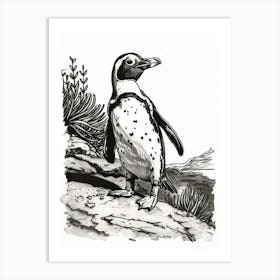 African Penguin Exploring 3 Art Print