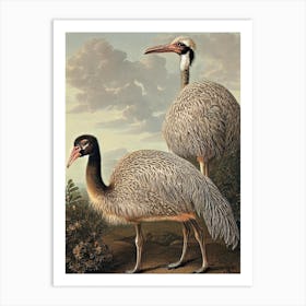 Ostrich Haeckel Style Vintage Illustration Bird Art Print
