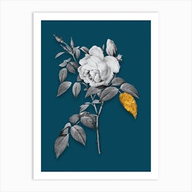 Vintage Fragrant Rosebush Black and White Gold Leaf Floral Art on Teal Blue n.0357 Art Print