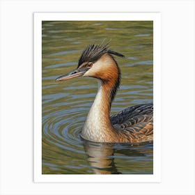 Swimming Duck Art Print