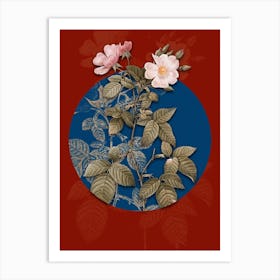 Vintage Botanical Red Bramble Leaved Rose on Circle Blue on Red n.0167 Art Print