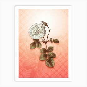 White Rose of York Vintage Botanical in Peach Fuzz Tartan Plaid Pattern n.0173 Art Print